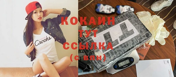 трава Белокуриха