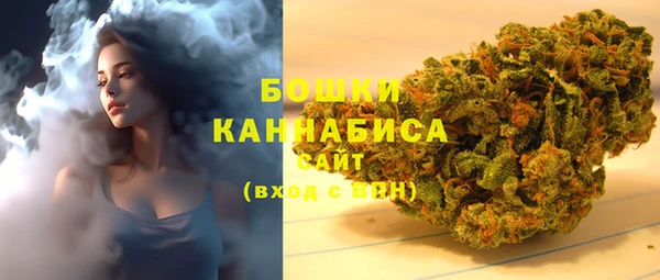 трава Белокуриха