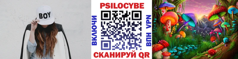 кракен ССЫЛКА  Пестово  Псилоцибиновые грибы ЛСД 